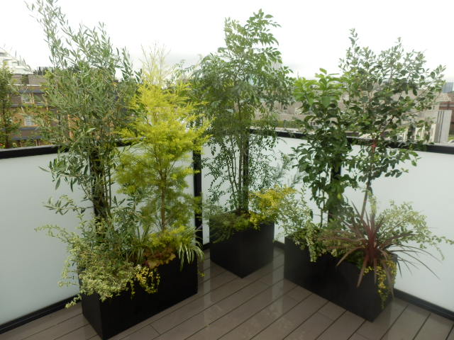 バルコニー植栽納品 Luft News バルコニー植栽納品 Luft News