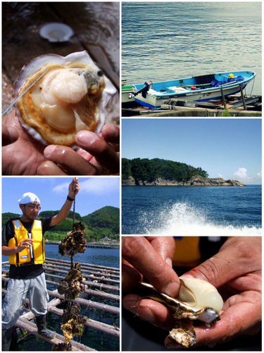 「ツール・ド・東北 サントリー東北サンさんプロジェクト 石巻行ってきます(告知)」_a0000029_11565615.jpg