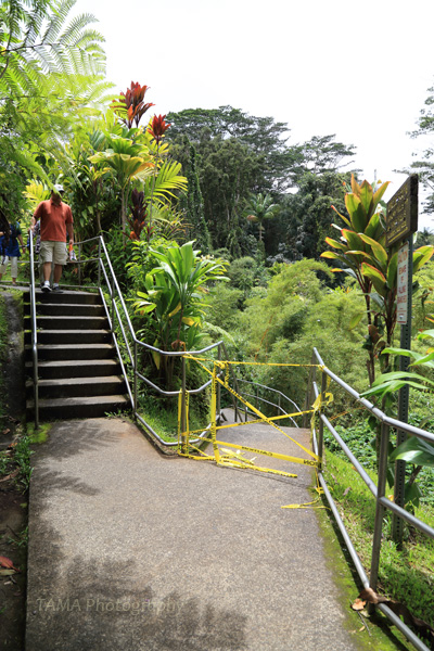 c0024729_20422229.jpg