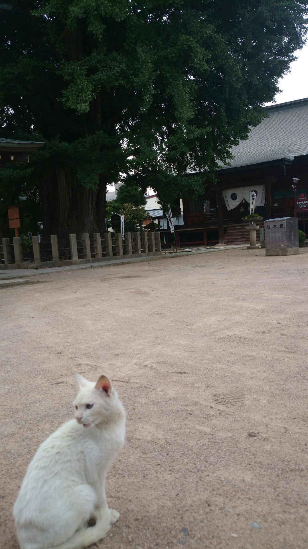 現実逃避の末。_d0180229_2293973.jpg