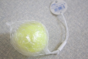 知らなかった_b0320131_15480620.jpg