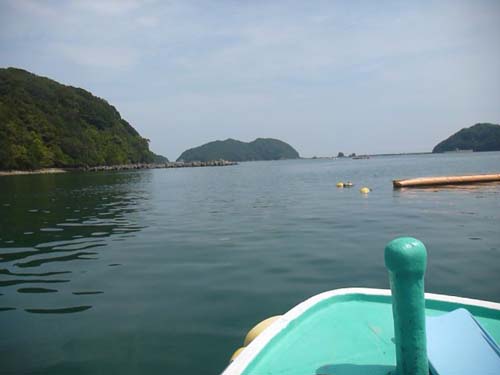 2014年9月2日(火・晴れ)甲浦_d0164831_15292832.jpg