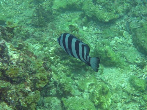 2014年9月2日(火・晴れ)甲浦_d0164831_1529398.jpg