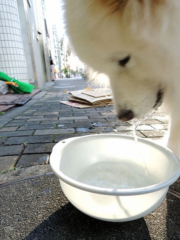 晴れたー♪_c0062832_8203080.jpg