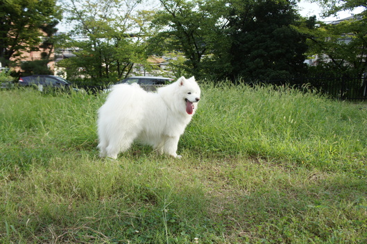 やっと参加できました_f0128542_1421732.jpg
