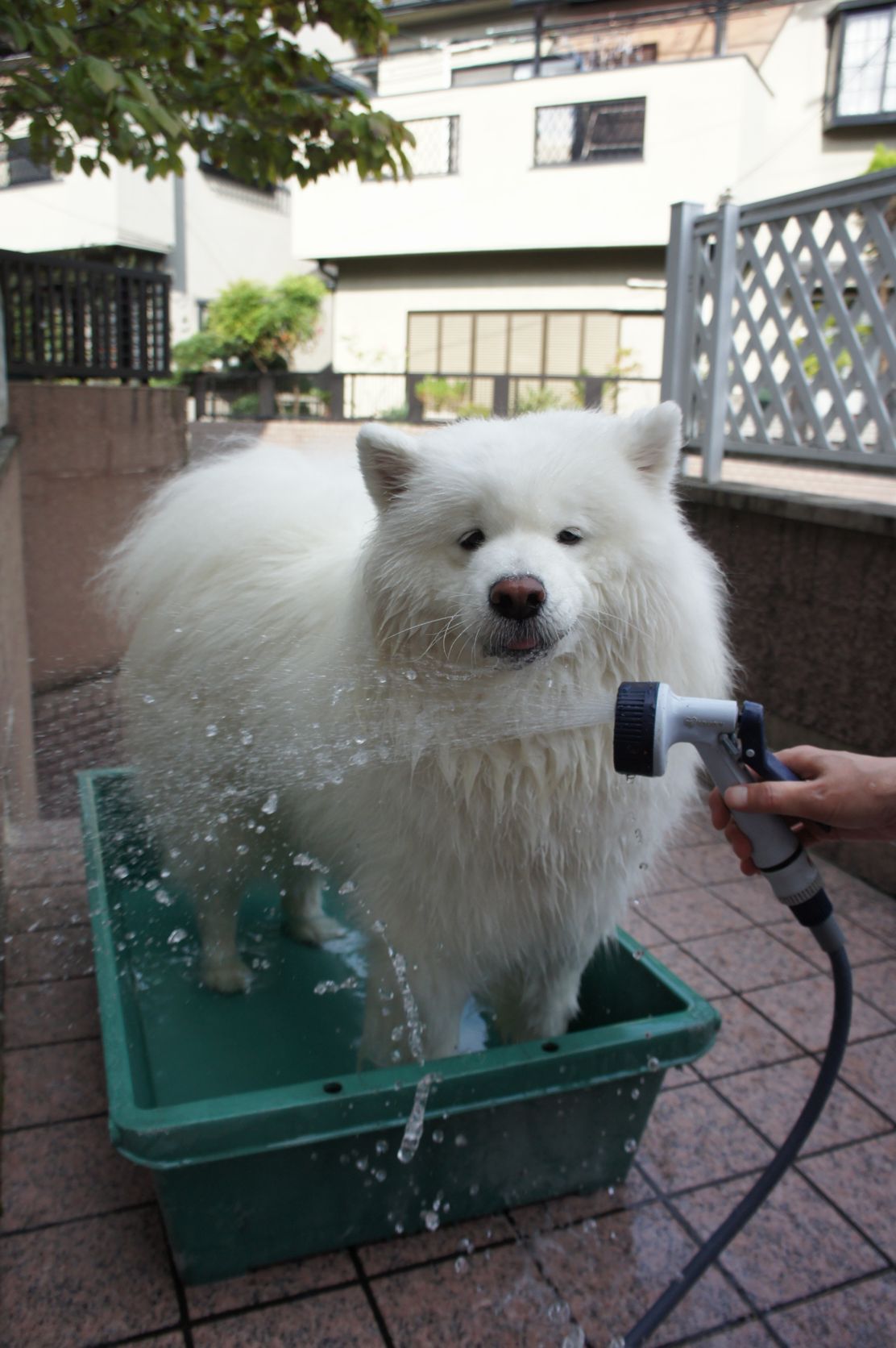 やっと参加できました_f0128542_1574565.jpg