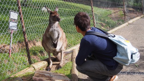 Australia it\'s truly Australia⑤Gorge Wildlife Park PartⅡ_e0121844_2234754.jpg