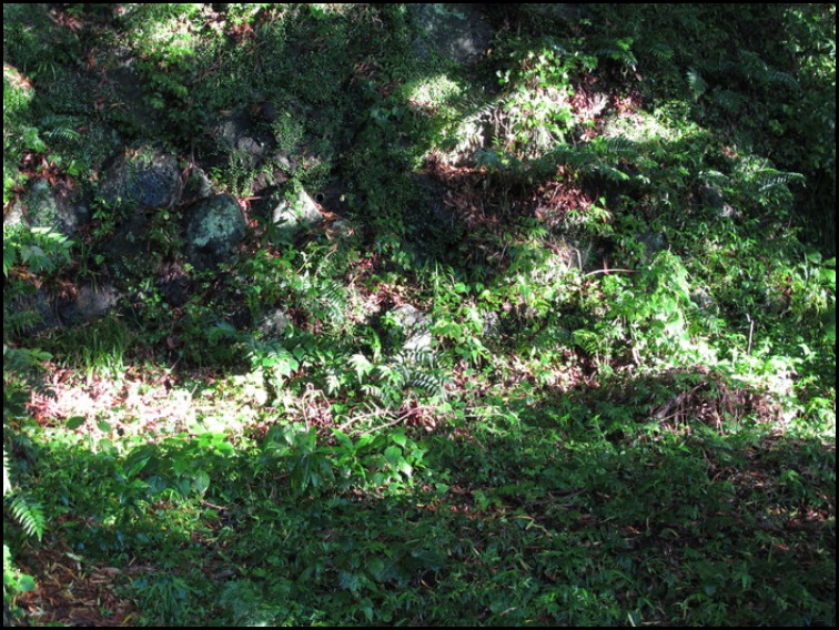 e0067850_20112111.jpg