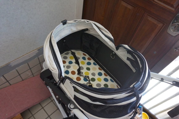 c0245751_13402963.jpeg