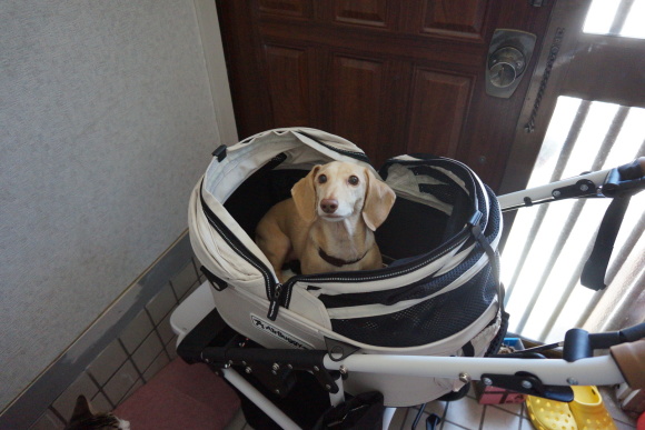 c0245751_13411410.jpeg