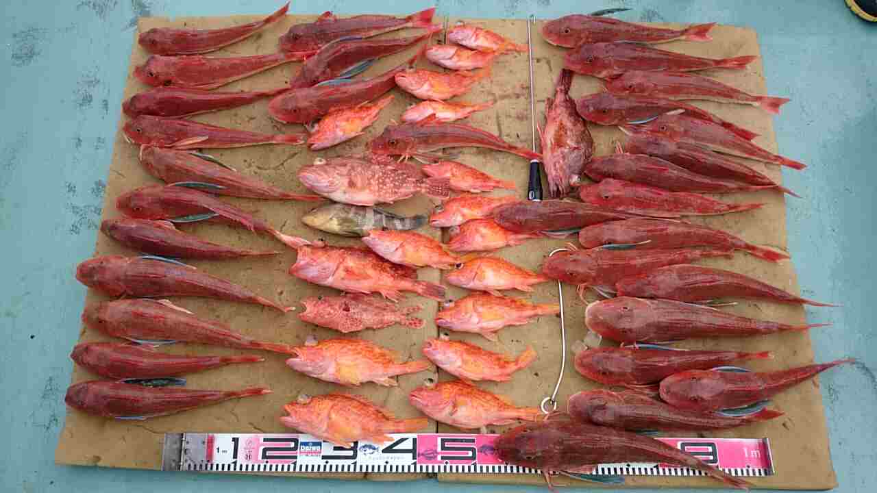 a0248152_18333050.jpg