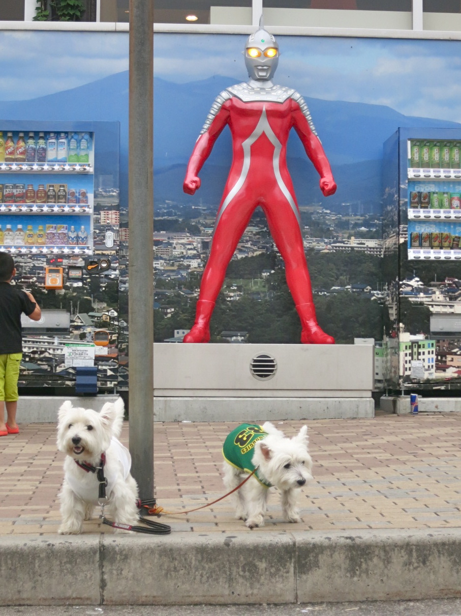WPに向けてドライブ猛特訓!_c0260460_1851456.jpg