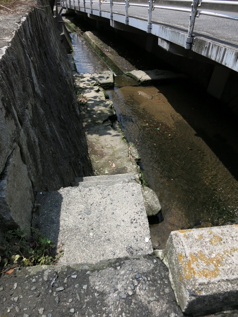 b0095061_1042219.jpg
