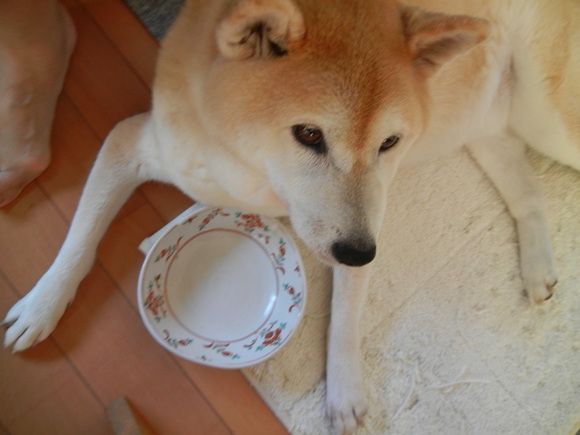 ’14,9,2(火)愛ちゃんの寝息!_f0060461_10492337.jpg