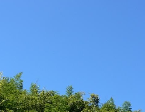 e0161972_8184034.jpg