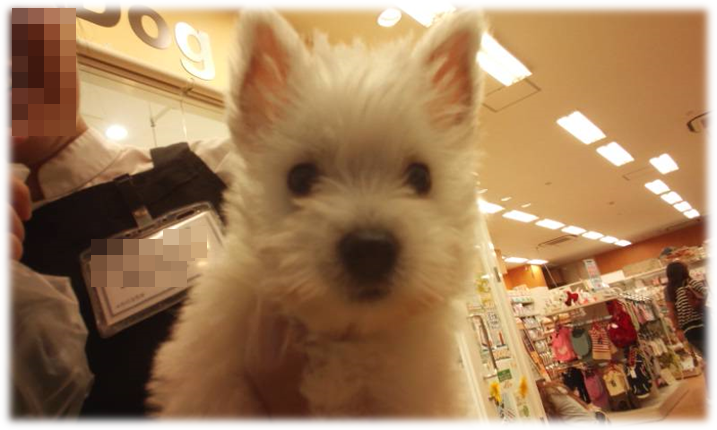 b0242873_00014176.png