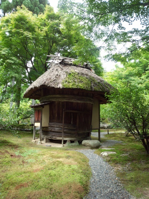 京都から・・・ただいま!_e0040673_18244360.jpg