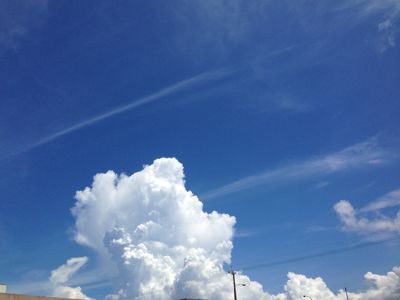 e0271874_8382834.jpg