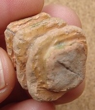 e0060485_9372250.jpg