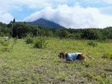 f0205887_1943625.gif