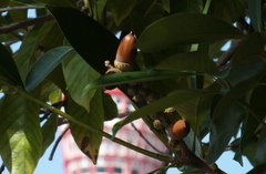 b0192588_9474930.jpg