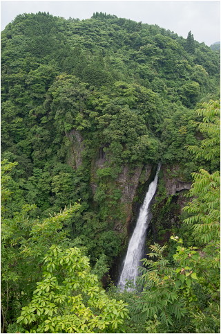 e0176993_17455813.jpg