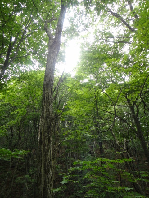 e0213194_11342245.jpg