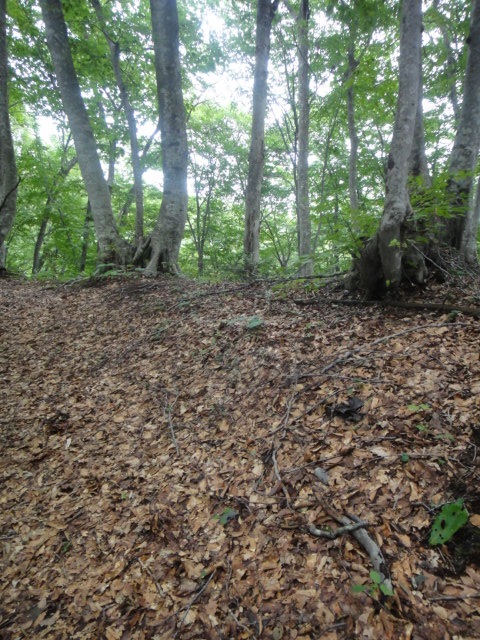 e0213194_11345381.jpg