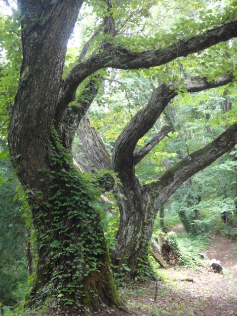 e0213194_11372634.jpg