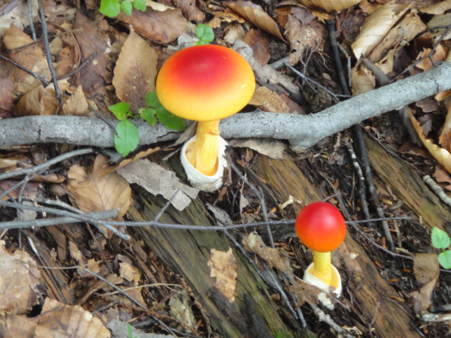 e0213194_1142093.jpg