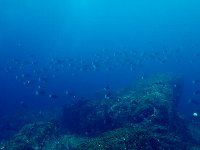 f0079996_1518171.jpg
