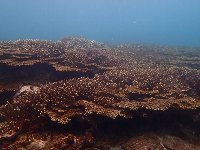 f0079996_154910.jpg
