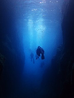 f0079996_159612.jpg