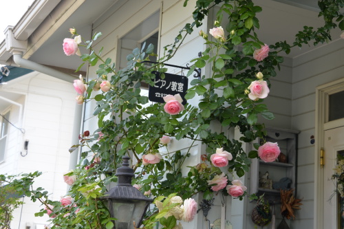 b0343400_16201412.jpg