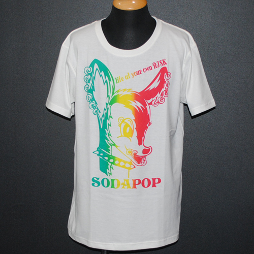 「S/S tee」「S/Sマキシ丈ワンピース」再入荷_a0097901_19463299.jpg