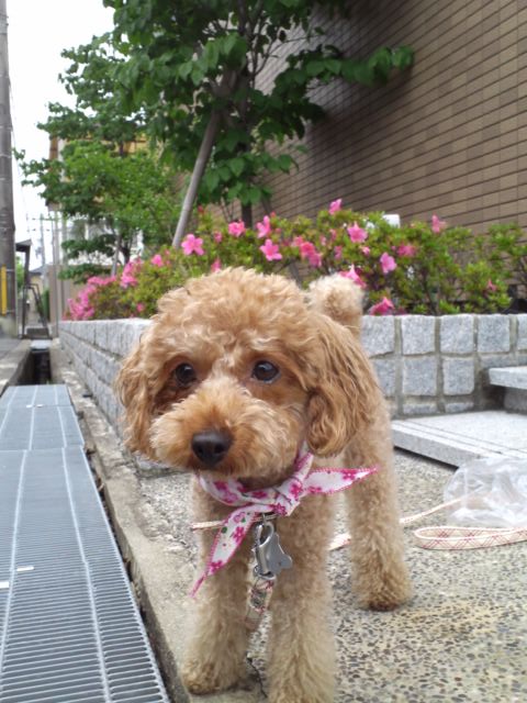 f0197703_17303155.jpg