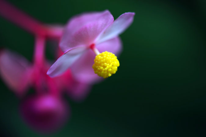 a0263109_1611291.jpg
