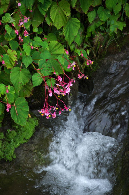 a0263109_1641461.jpg