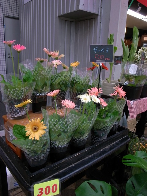 e0145711_0455126.jpg