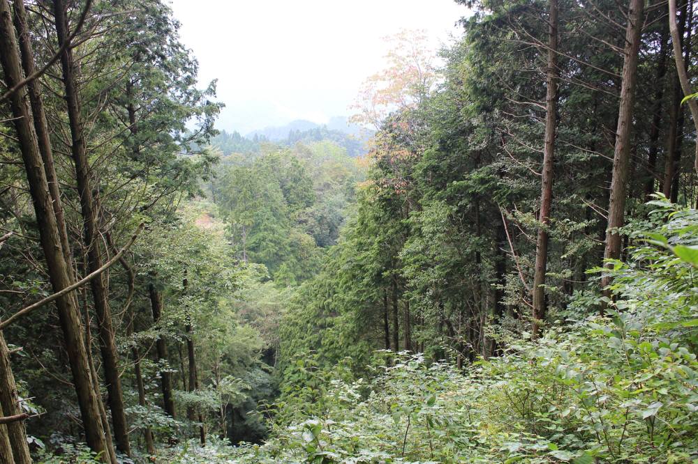 f0212511_2332425.jpg