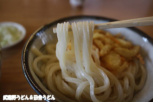 新川うどん店 加須市 _c0113312_23421723.jpg