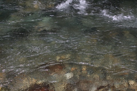 d0227723_23115209.jpg