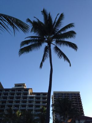 f0215324_2563140.jpg