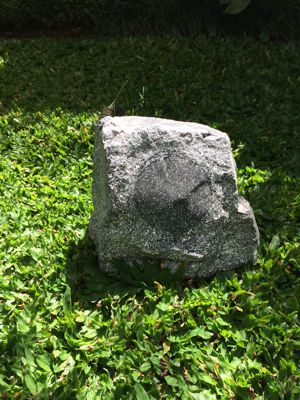 e0139926_9234292.jpg