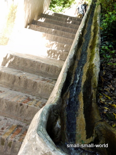 c0039428_23083200.jpg