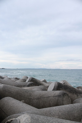 b0147329_931416.jpg