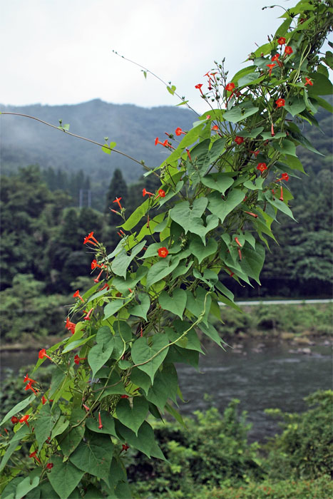 d0029829_10434012.jpg