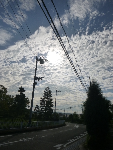 ねやがわこうえん_c0113733_1361026.jpg