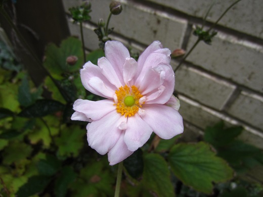 f0002833_16315929.jpg