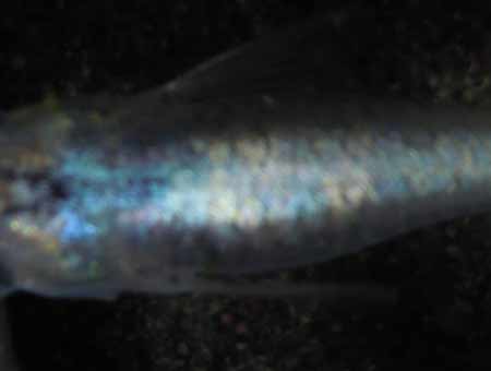 e0097534_17554014.jpg